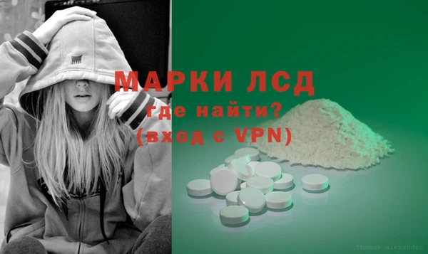 спайс Беломорск
