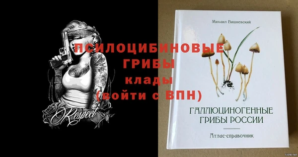 твердый Белоозёрский