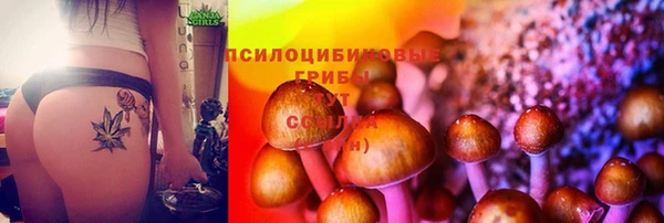 мдпв Богородицк